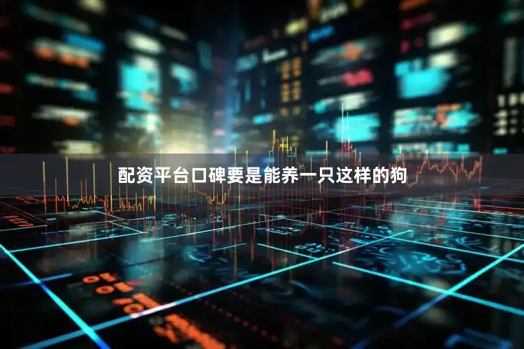 配资平台口碑要是能养一只这样的狗