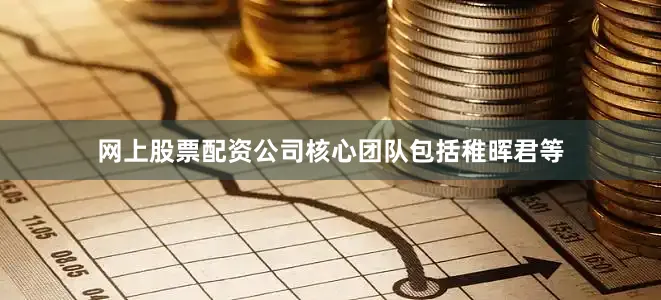 网上股票配资公司核心团队包括稚晖君等