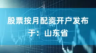 股票按月配资开户发布于：山东省