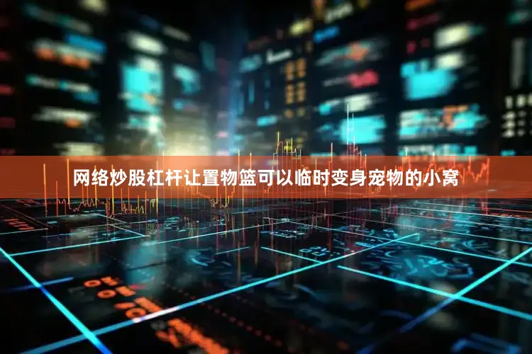网络炒股杠杆让置物篮可以临时变身宠物的小窝